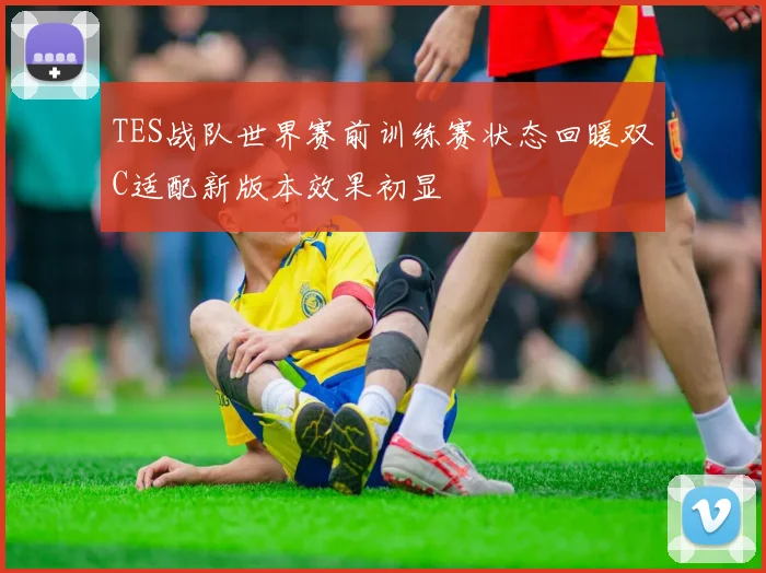TES战队世界赛前训练赛状态回暖双C适配新版本效果初显